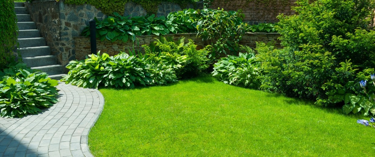 Easy Ways to Have a Great Garden