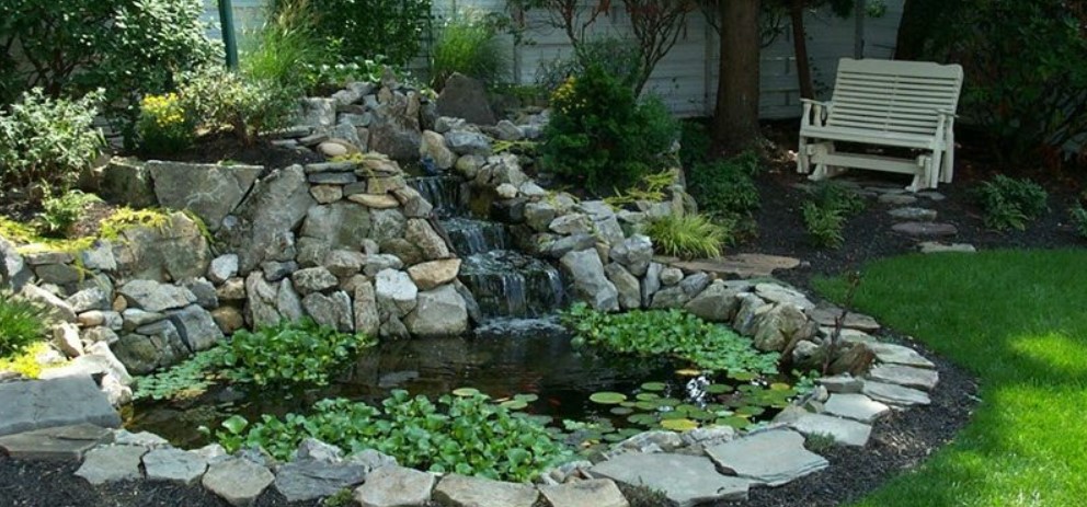 3 Essentials for Your Backyard Fish Pond