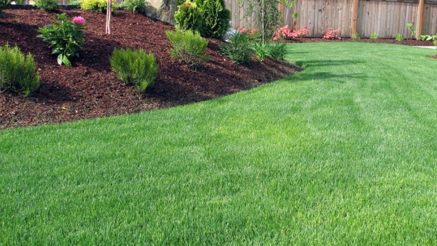 What Do Lawn Care Services Do?