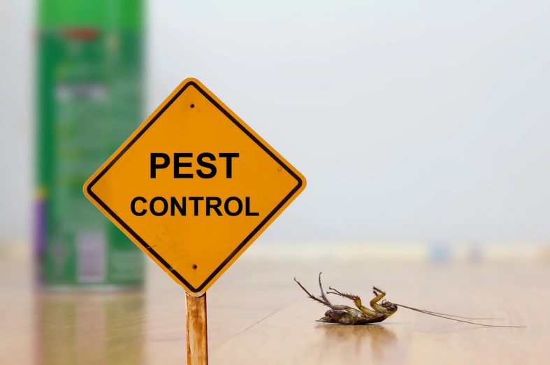 How to Find the Right Pest Control Company in Madison County