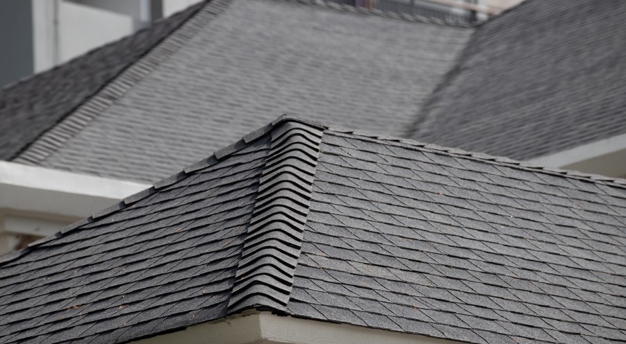 6 Ways a Professional Roofing Company Can Help You