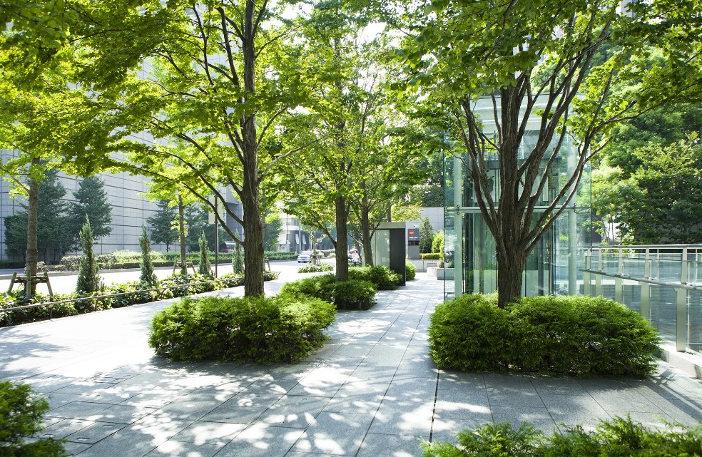 The Transformative Power of Sustainable Landscaping: Enhancing Ecosystems and Aesthetics